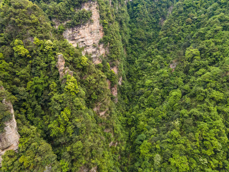 湖南张家界奇山山川