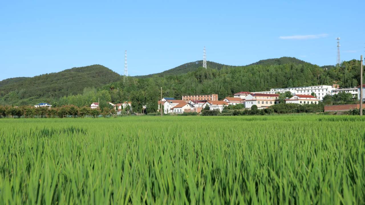 城市景色 20