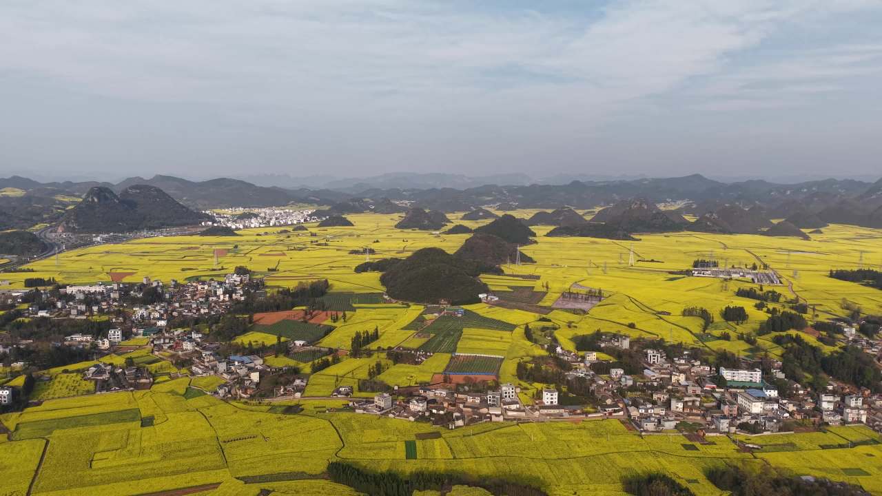 油菜花海中的宁静乡村