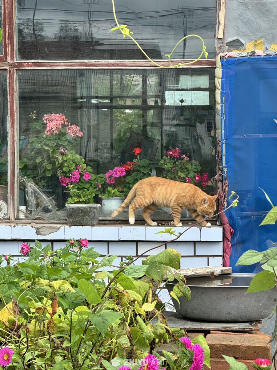 张北草原天路 33