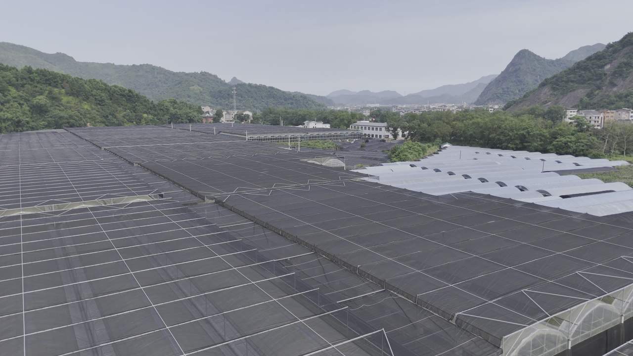 山间温室全景