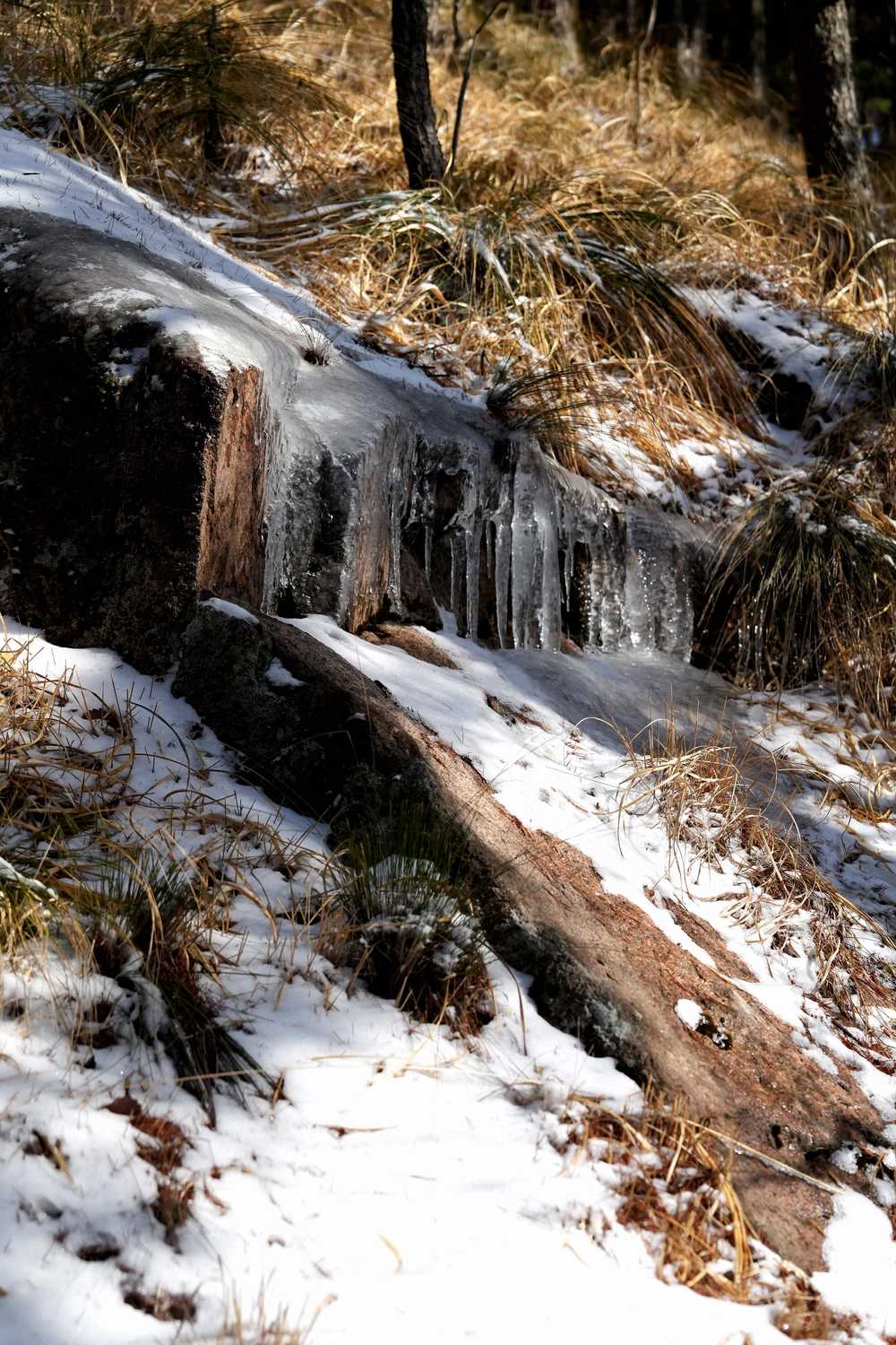 雪落黄山，雾凇云海——雪篇