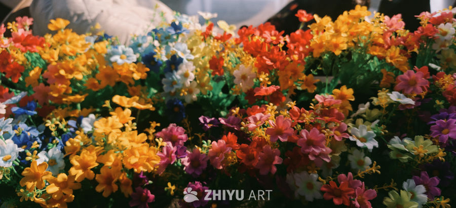 多彩花丛绽放春日美景