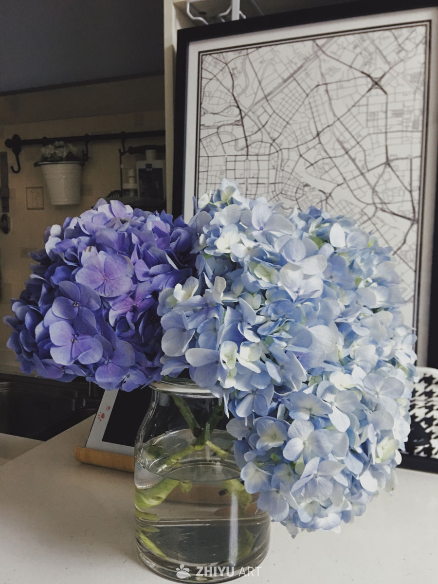蓝紫绣球花与城市地图