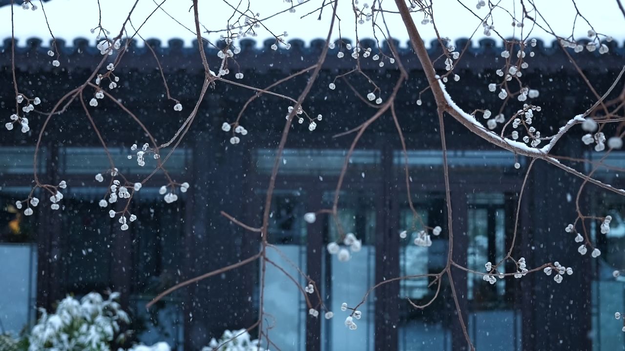 中式园林雪景 园林雪景 江南雪景 12
