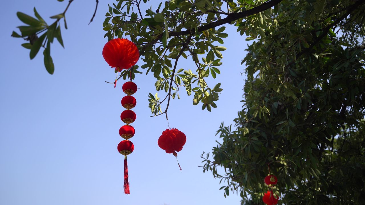 喜庆扫街 31