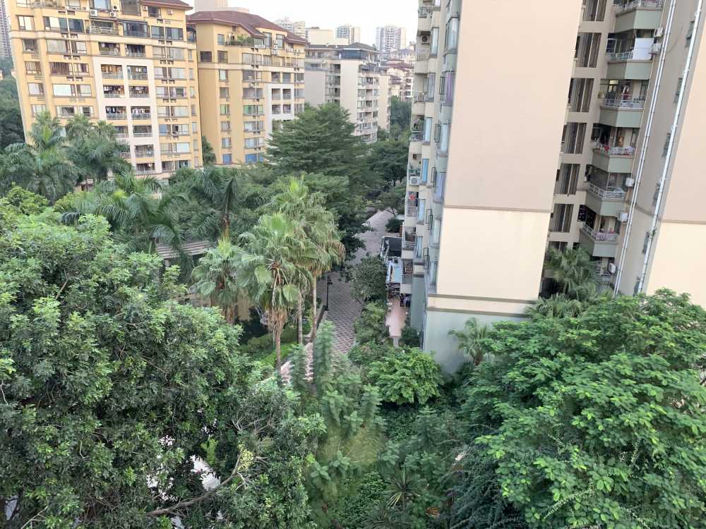 建筑 街道 大厦