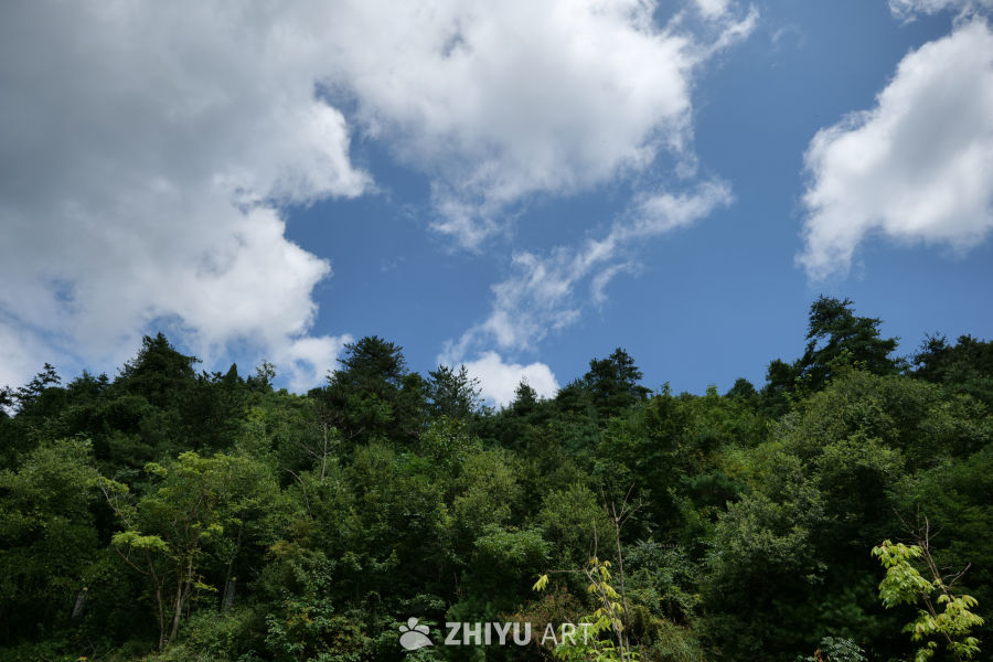 景区景色 173