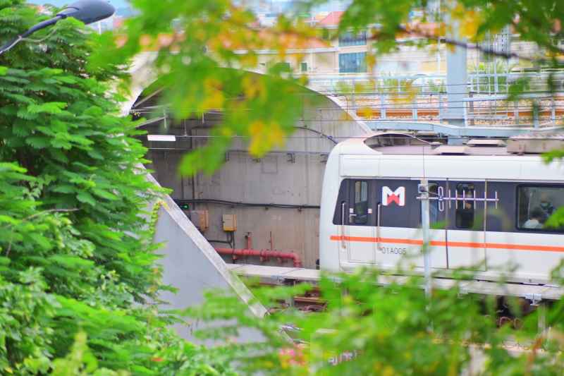 林间地铁