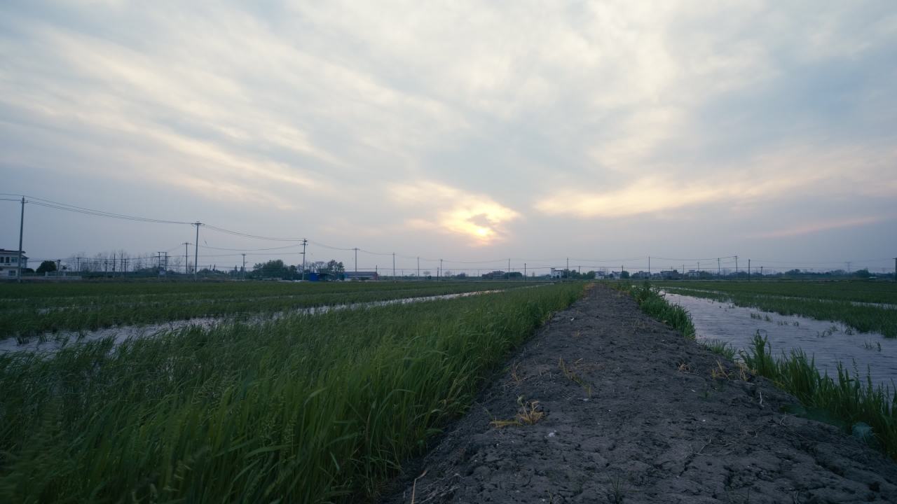 田园风光农村风景 12