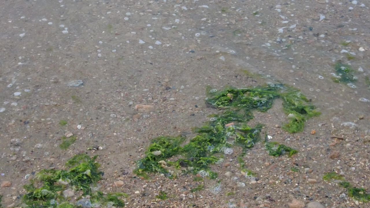 大海海浪沙滩蓝天白云实拍  