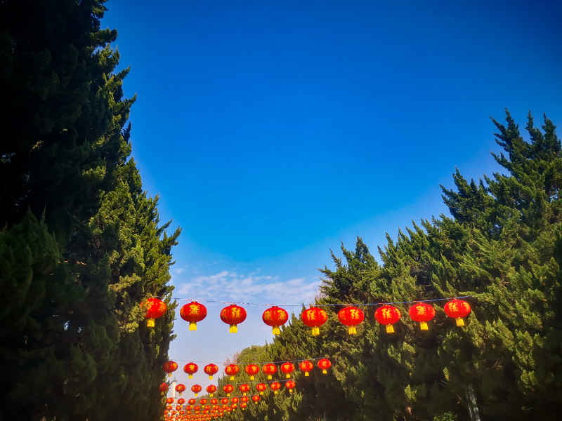 过年城市喜庆红灯笼中国年装饰摄影图 