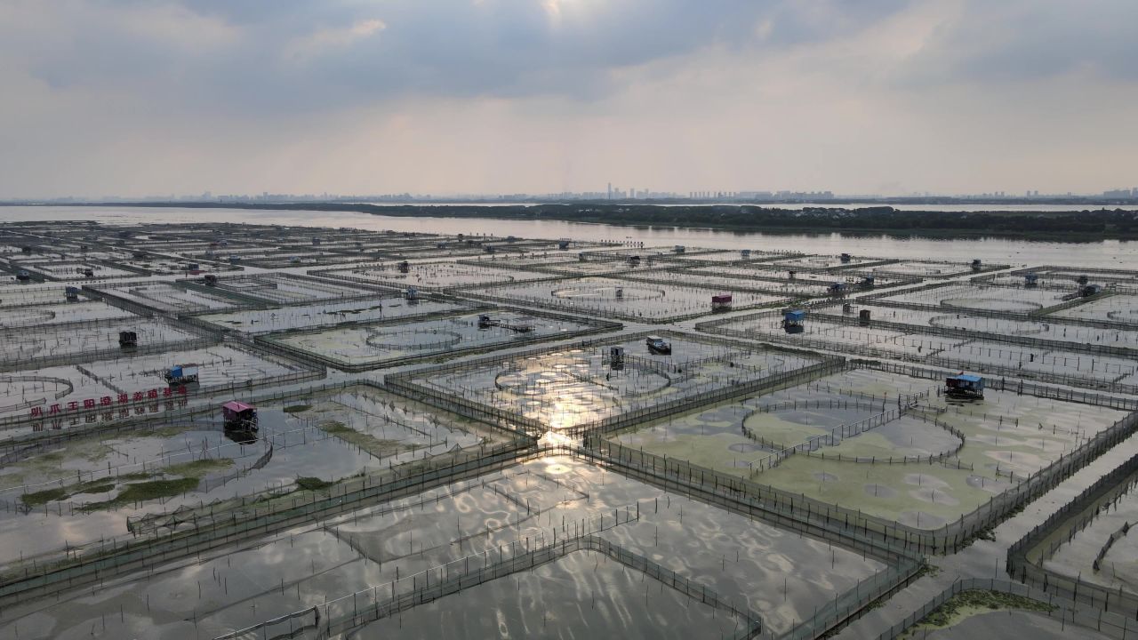 苏州阳澄湖养殖基地航拍高清4k