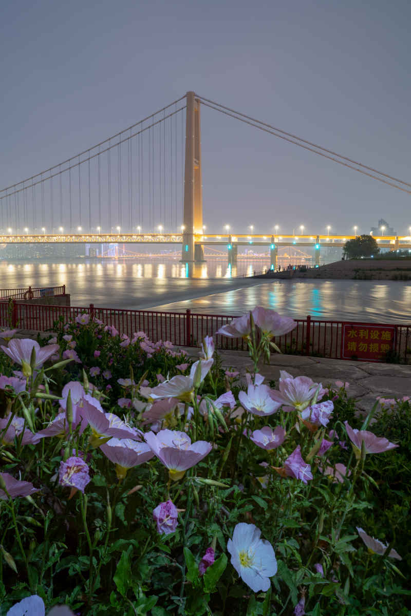 杨泗港长江大桥