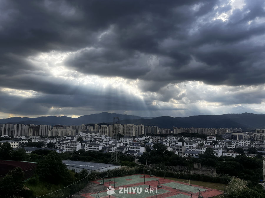 城市与自然的交响曲