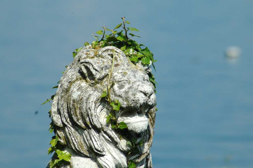 雕像莱曼湖狮子