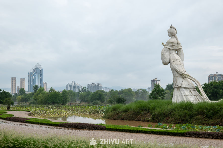 湿地公园 11
