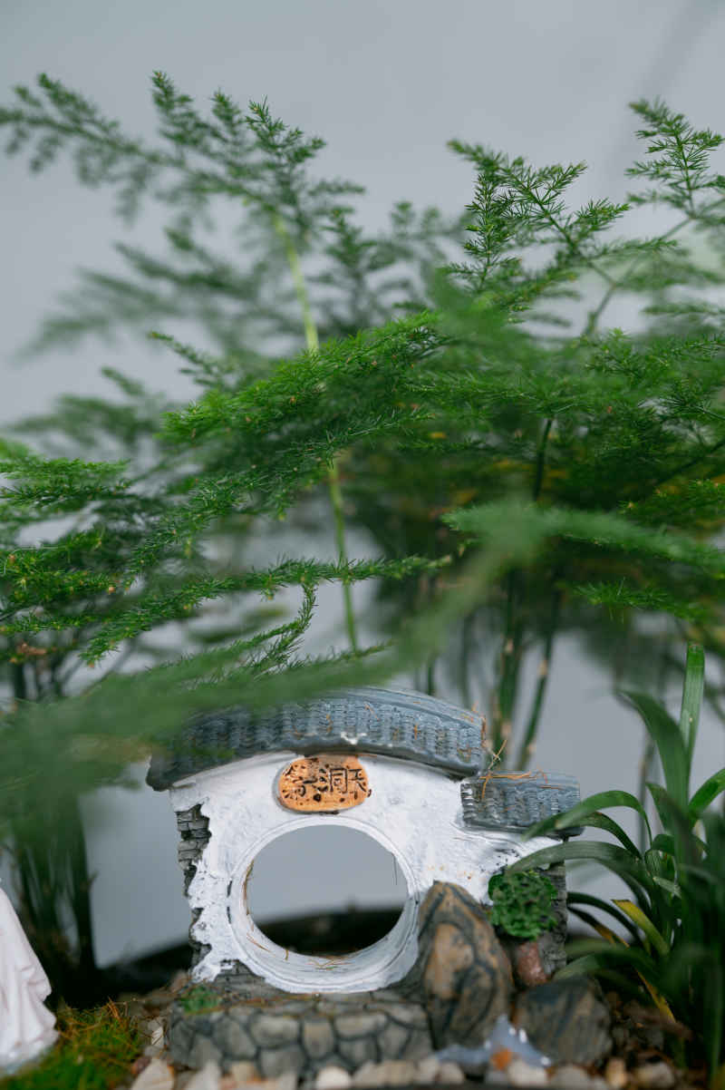 盆栽、插花 31