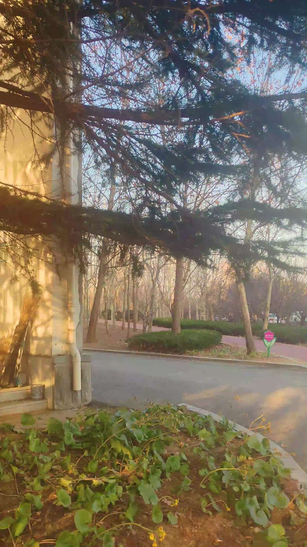阳光下的墙角