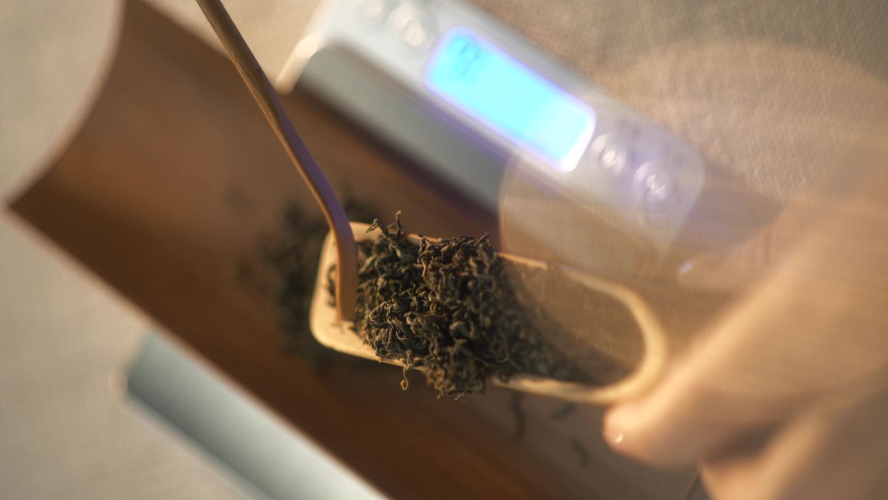 七叶胆是绞股蓝的一种