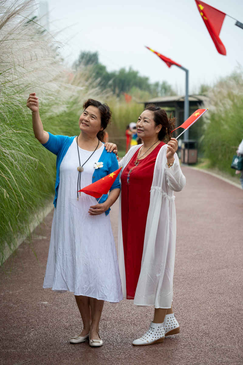 喜迎国庆 国庆 五星红旗迎风飘扬 人与自然 15