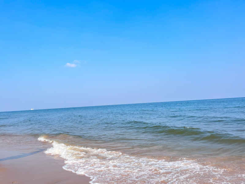 海岸