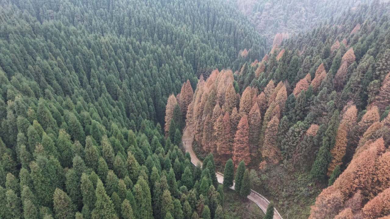 DJI_20251125132350_0004_D 1