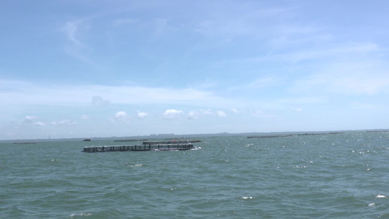 海洋牧场深海养殖