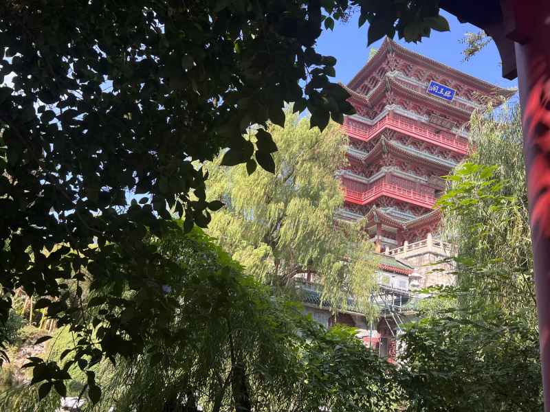 随拍 36