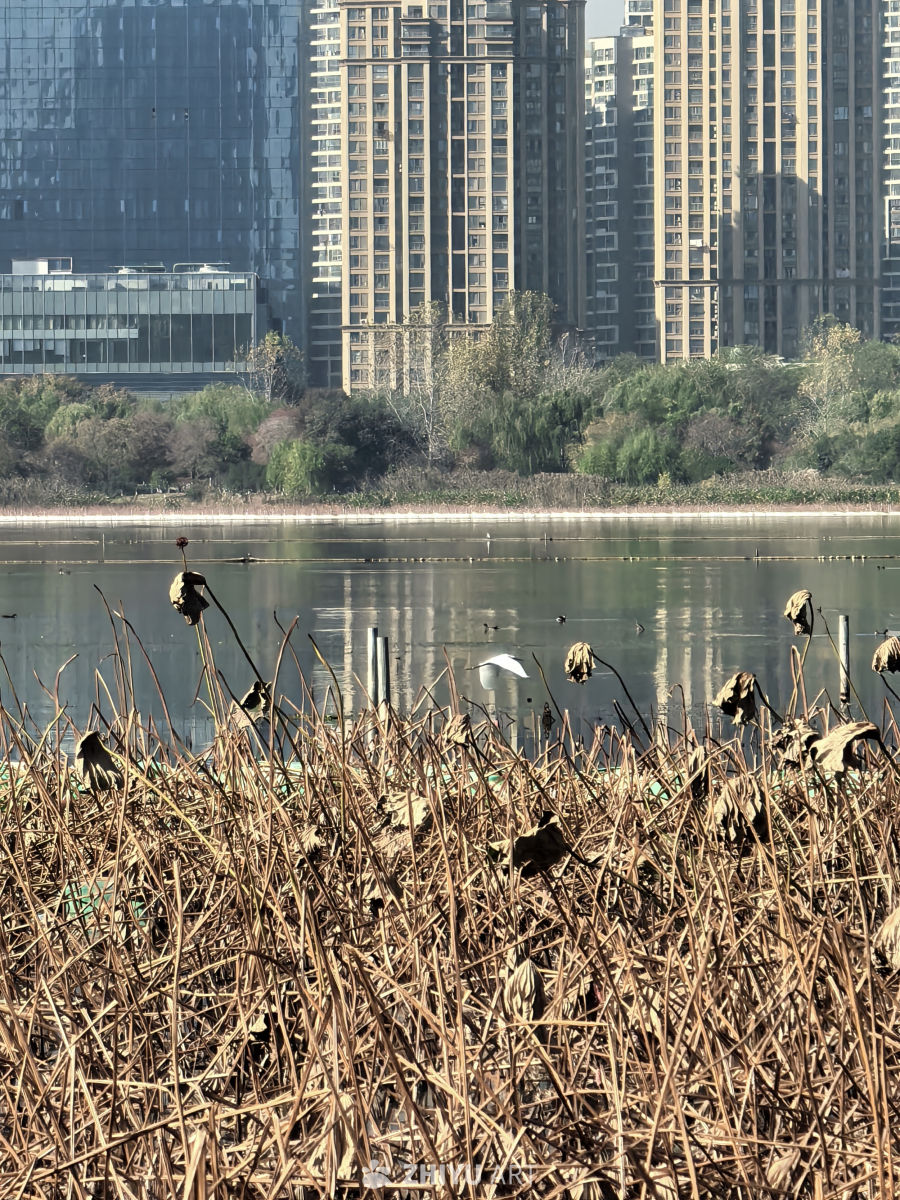 水静万佛湖，风微湖岸幽