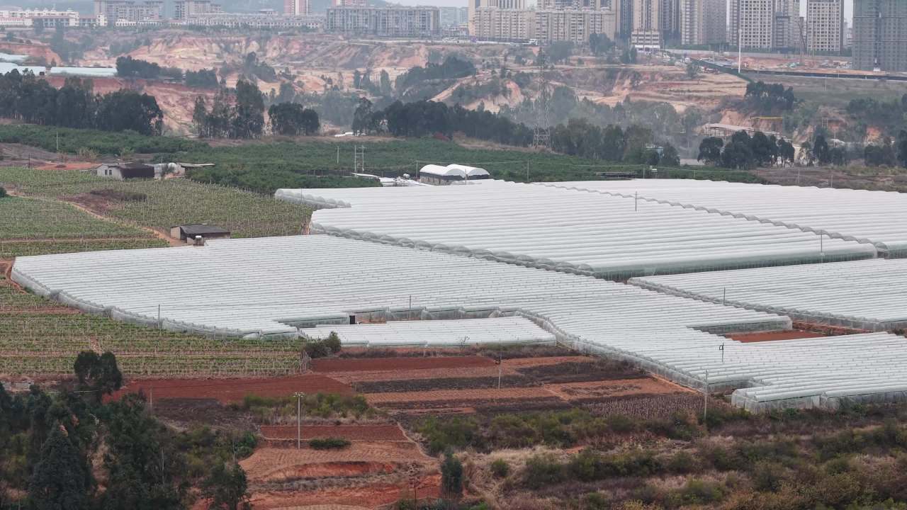 城市边缘的现代农业温室