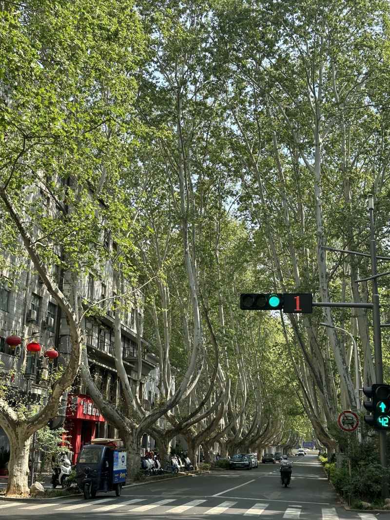 绿下红绿灯