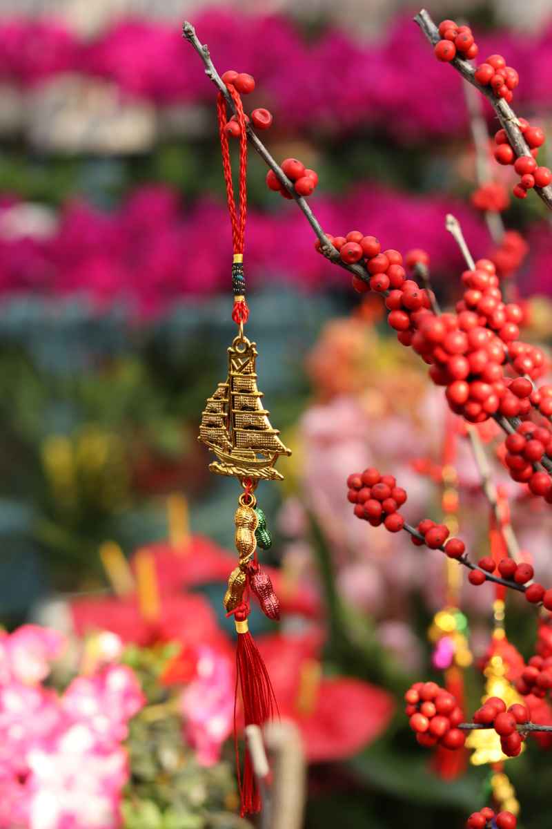花卉市场 4