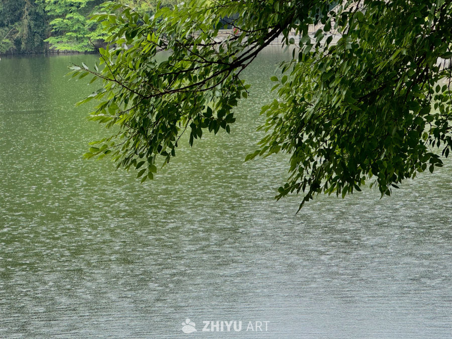 厦门植物园