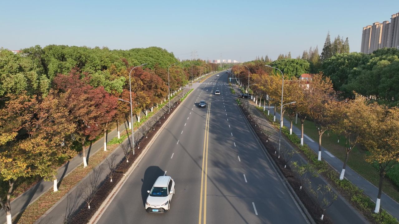 道路两旁的秋色