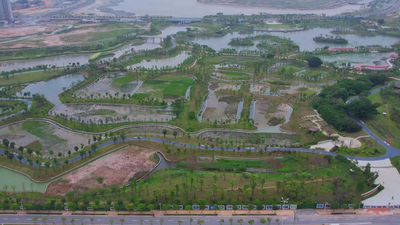 航拍厦门马銮湾双溪湿地公园 14