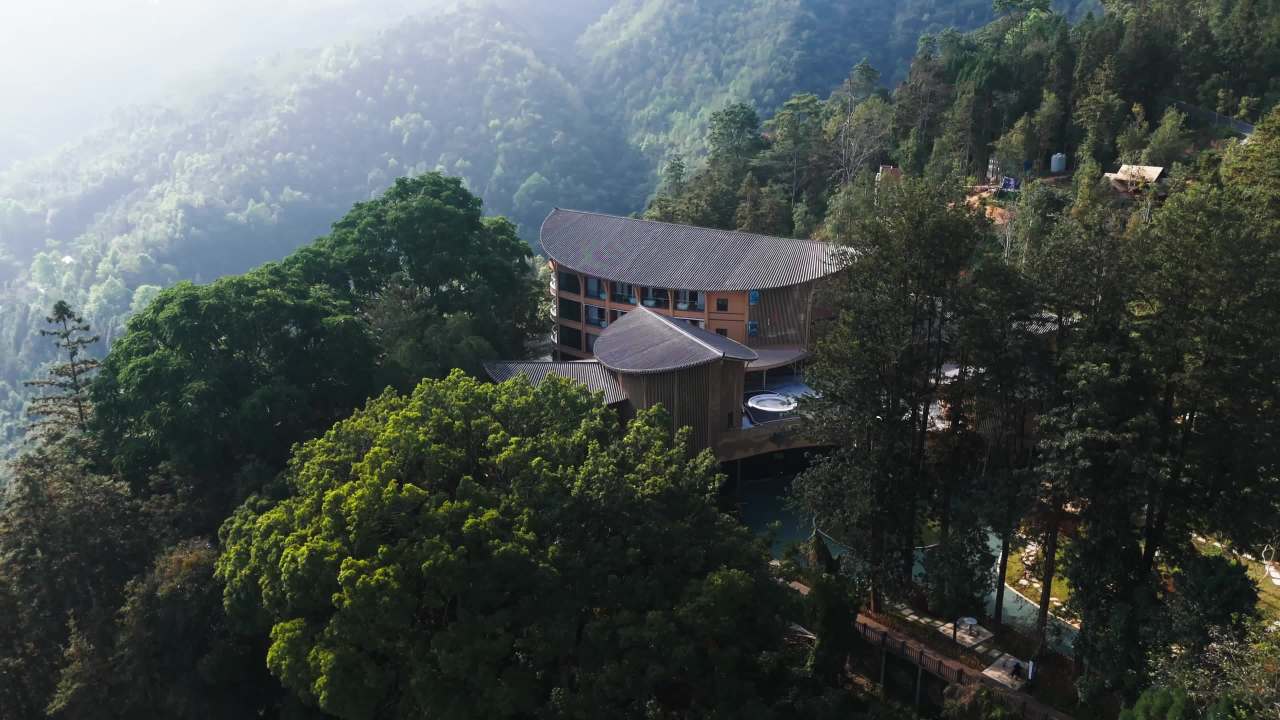 森林中的现代建筑
