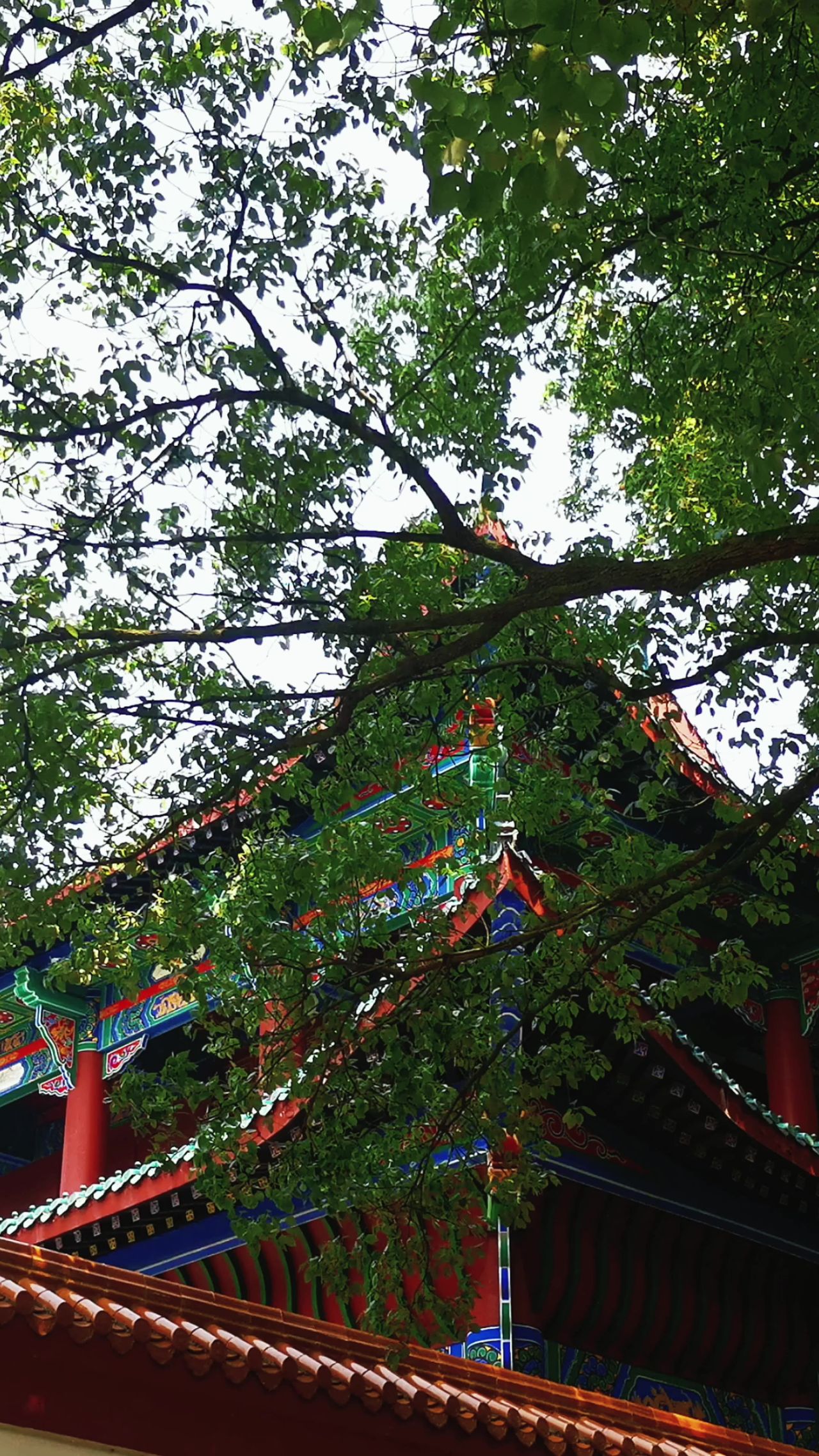 旅游景区湖南常德闯王陵竖屏