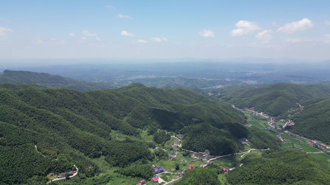 航拍南岳衡山5A景区竹林 