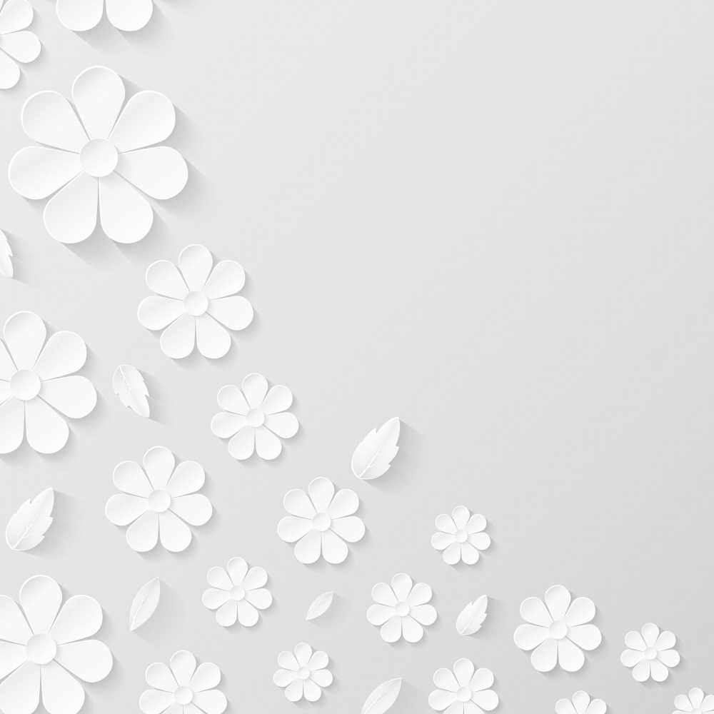 花纸的背景白鲜花纸纹理花型设计邀请印度婚礼饰品装饰浪漫剪贴簿