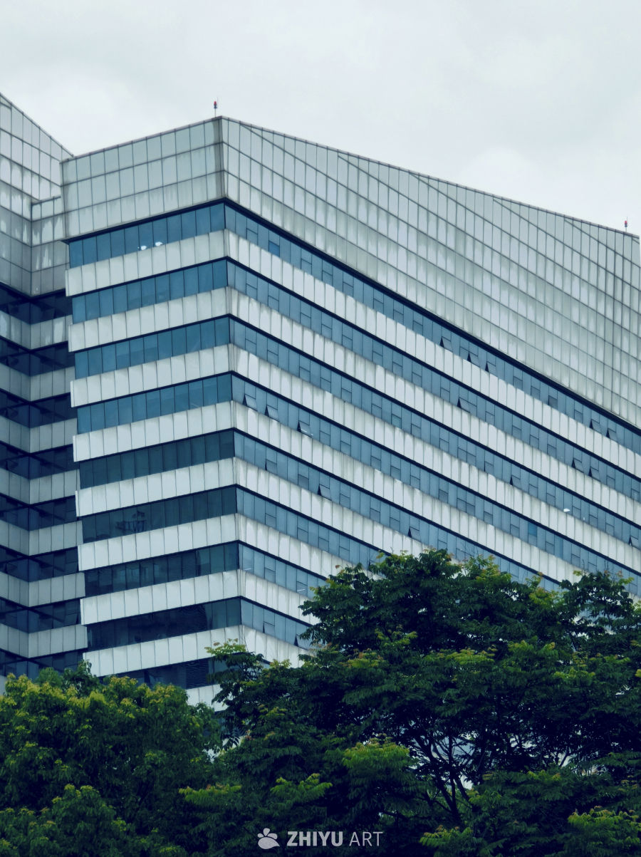 绿树与建筑