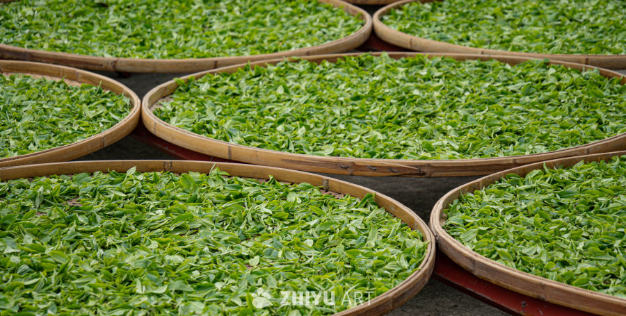竹篮中的茶叶