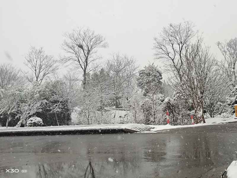 南方的雪