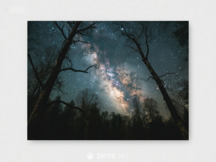 夜空银河穿过树林 360