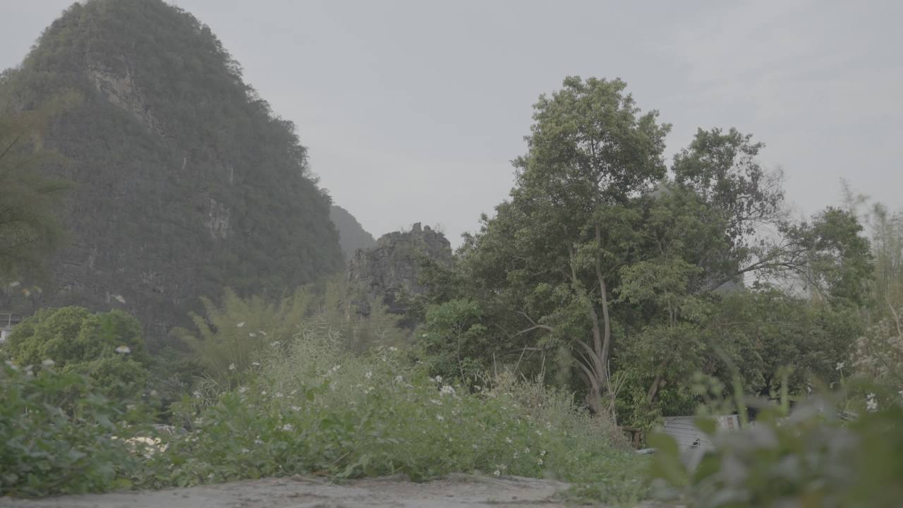 自行车 15