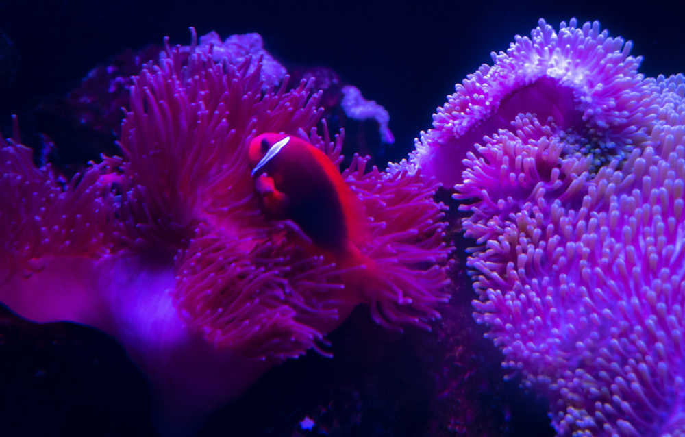 水族馆