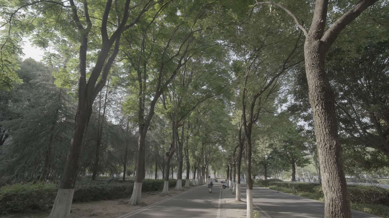 宜昌江边 89