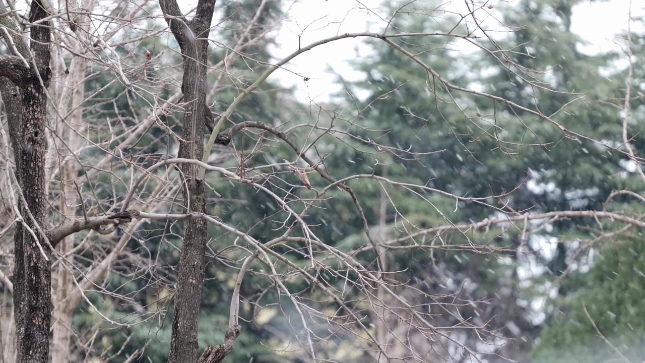 下雪城市空镜