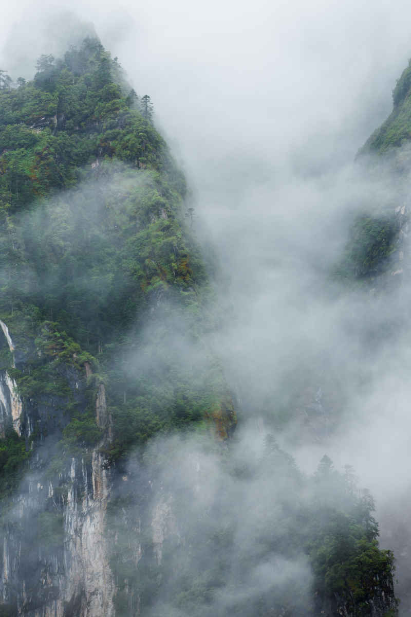 海螺沟冰川森林公园 2