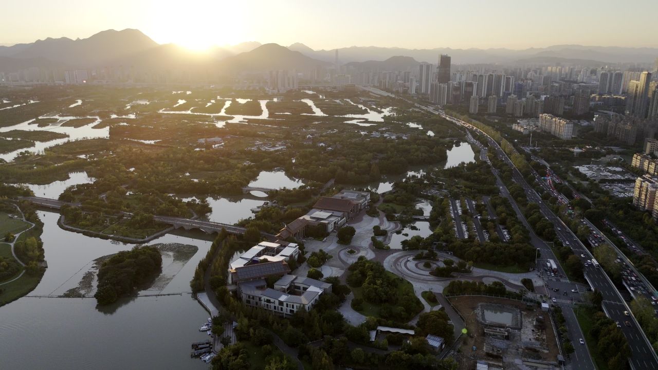 温州三垟湿地风光 35